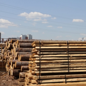 More than 1.9 million m³ of sawn timber was exported from the Krasnoyarsk Region in H1 2024